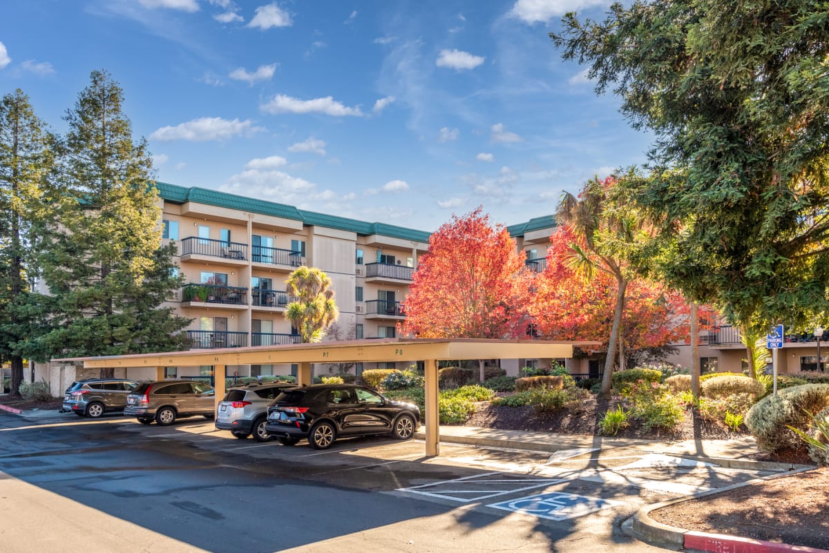 Senior Apartments in Rohnert Park Altamont Apartments Photo Gallery